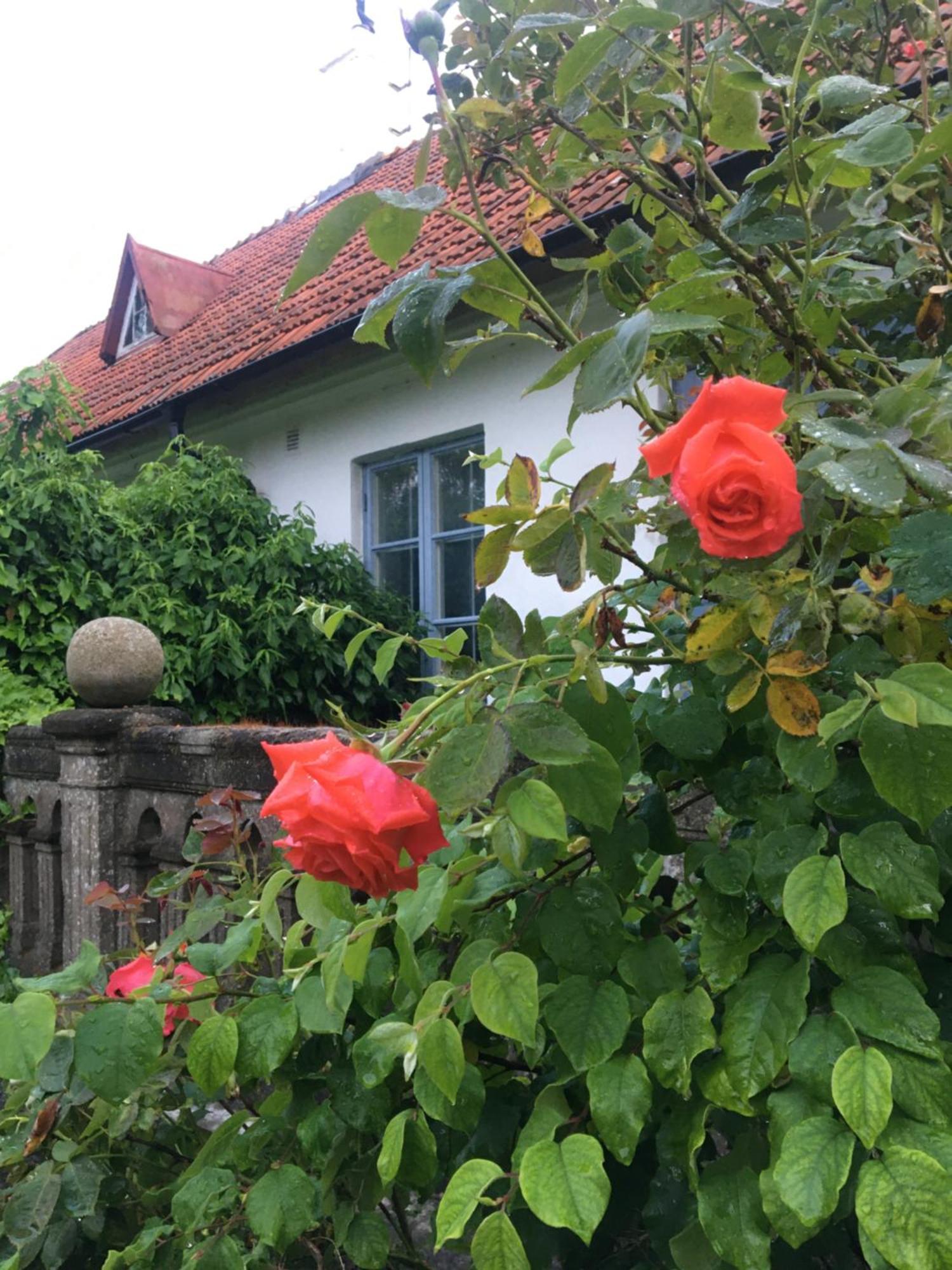 Sydkustens At Tullnaes Vingard Klagstorp Luaran gambar